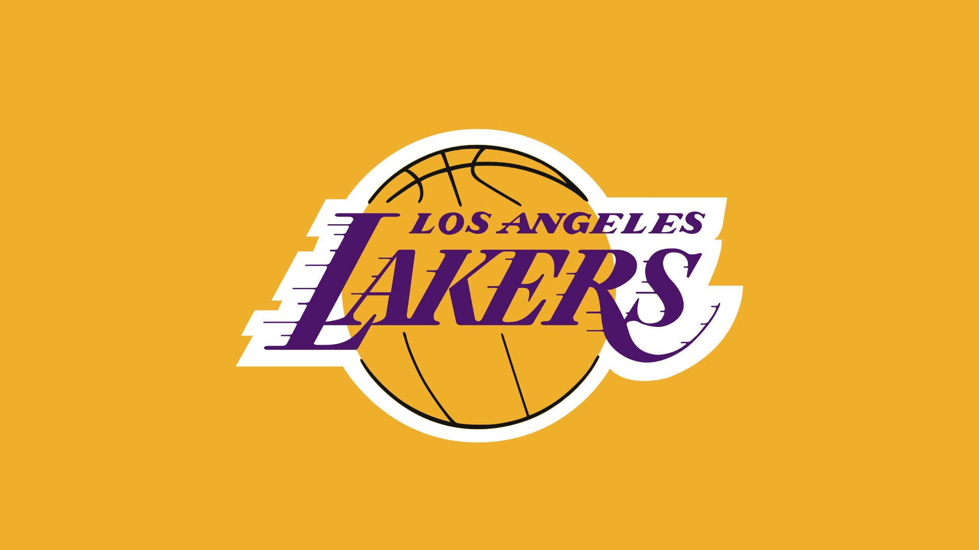 校园体育文化对学生团队合作能力的影响，对校园体育文化的畅想